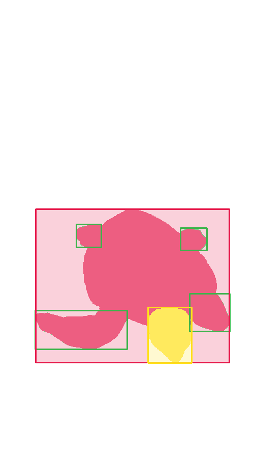 Sample annotation mask from Sea Turtle 2022