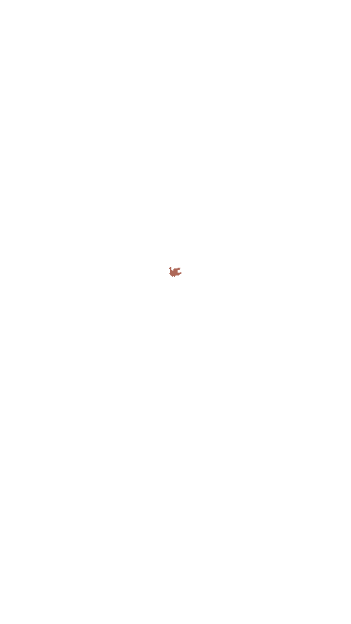 Accurate Drone Shapes - Dataset Ninja