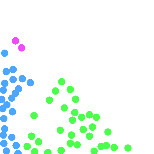 Sample annotation mask from EndoNuke