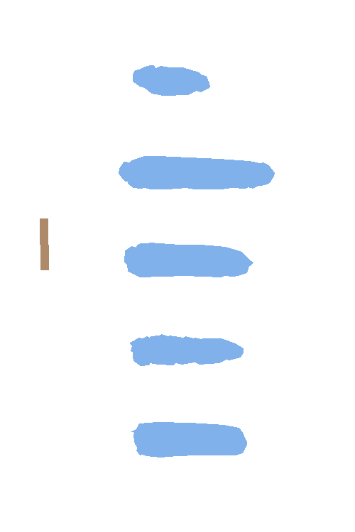 Sample annotation mask from Maize Cobs