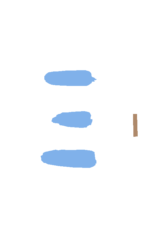 Sample annotation mask from Maize Cobs