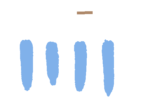 Sample annotation mask from Maize Cobs