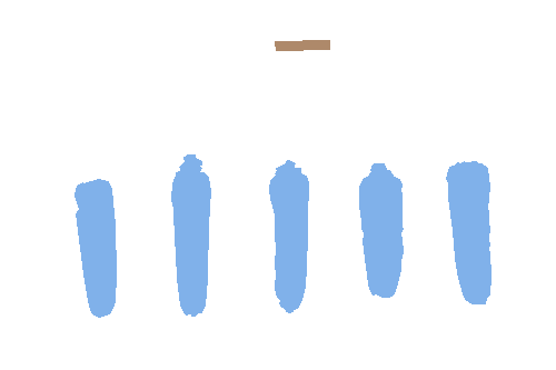 Sample annotation mask from Maize Cobs