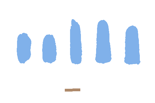 Sample annotation mask from Maize Cobs