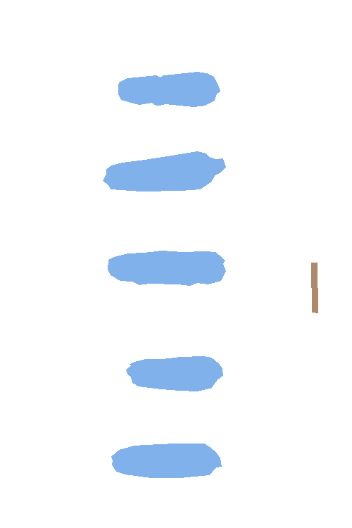 Sample annotation mask from Maize Cobs