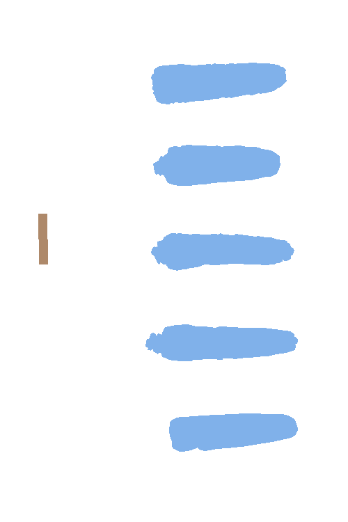 Sample annotation mask from Maize Cobs