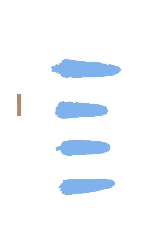 Sample annotation mask from Maize Cobs