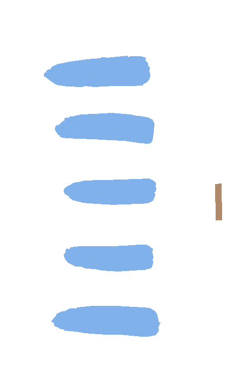 Sample annotation mask from Maize Cobs