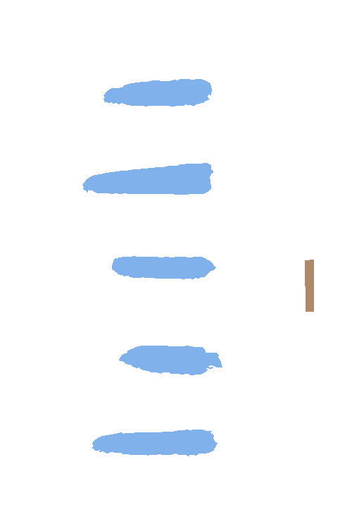 Sample annotation mask from Maize Cobs