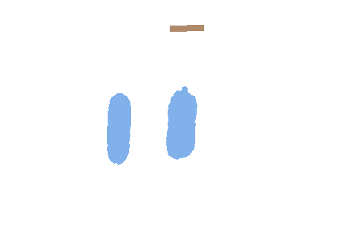 Sample annotation mask from Maize Cobs