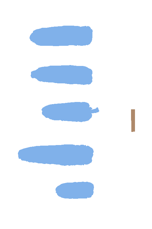 Sample annotation mask from Maize Cobs