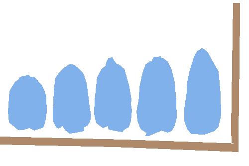 Sample annotation mask from Maize Cobs