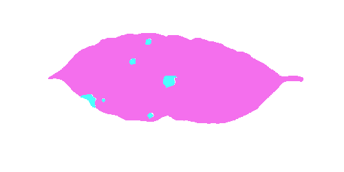 Sample annotation mask from Coffee Leaf Biotic Stress