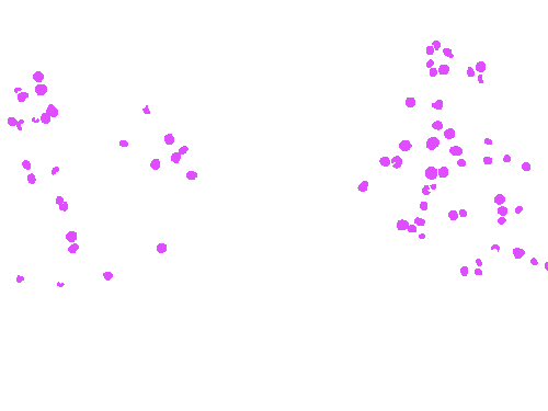 Sample annotation mask from Apple MOTS