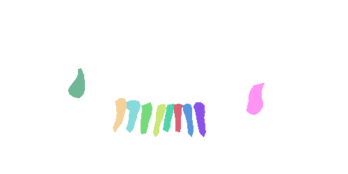 Sample annotation mask from Teeth Segmentation on Dental X-ray Images