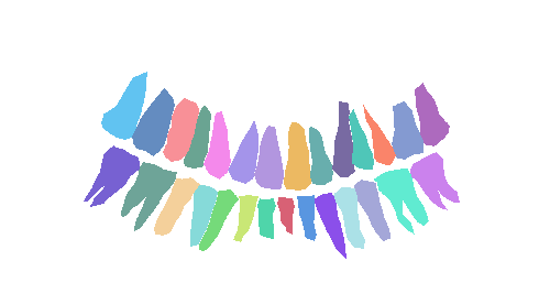 Sample annotation mask from Teeth Segmentation on Dental X-ray Images