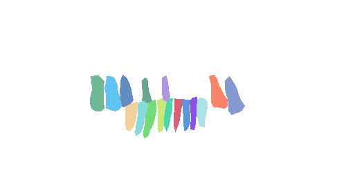 Sample annotation mask from Teeth Segmentation on Dental X-ray Images