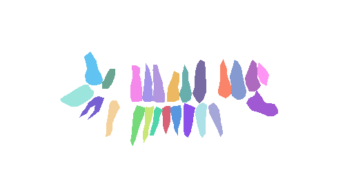 Sample annotation mask from Teeth Segmentation on Dental X-ray Images