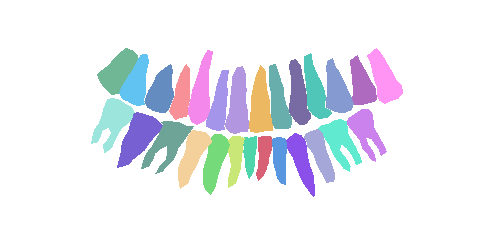 Sample annotation mask from Teeth Segmentation on Dental X-ray Images