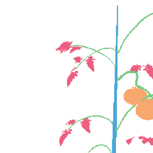 Sample annotation mask from Synthetic Plants