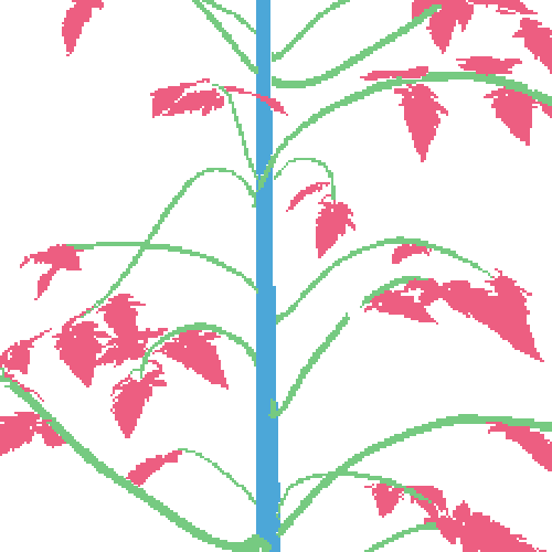 Sample annotation mask from Synthetic Plants