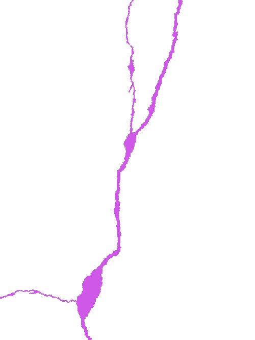 Sample annotation mask from Concrete Crack Segmentation