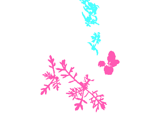 Sample annotation mask from CWFID