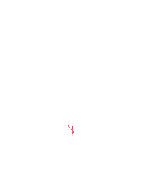 Sample annotation mask from Maize Whole Plant Image