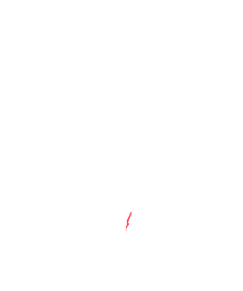 Sample annotation mask from Maize Whole Plant Image