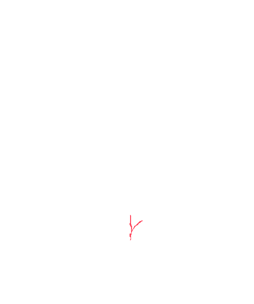 Sample annotation mask from Maize Whole Plant Image