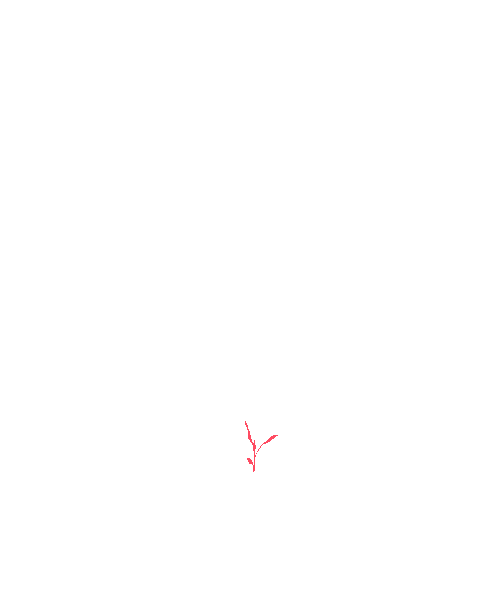 Sample annotation mask from Maize Whole Plant Image