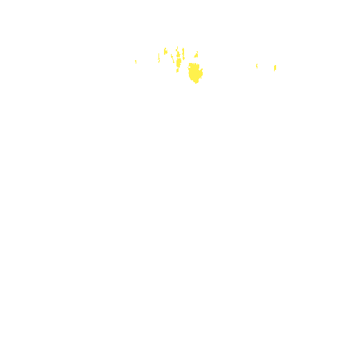 Sample annotation mask from Intraretinal Cystoid Fluid