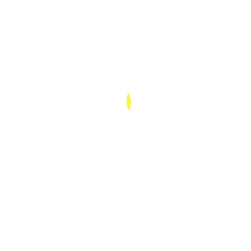 Sample annotation mask from Intraretinal Cystoid Fluid