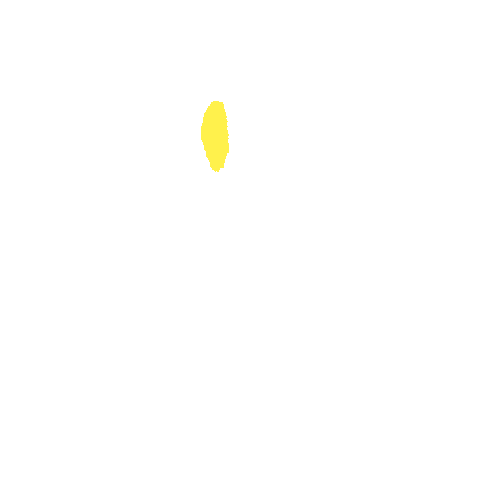 Sample annotation mask from Intraretinal Cystoid Fluid