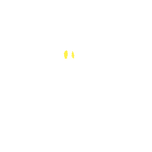 Sample annotation mask from Intraretinal Cystoid Fluid