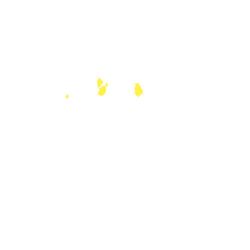 Sample annotation mask from Intraretinal Cystoid Fluid