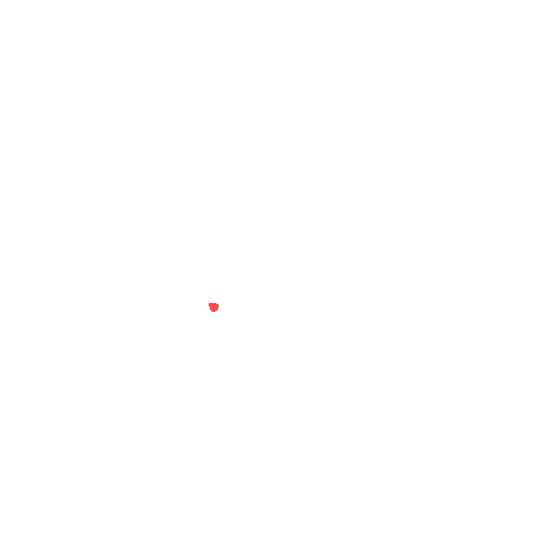 Sample annotation mask from CBIS-DDSM