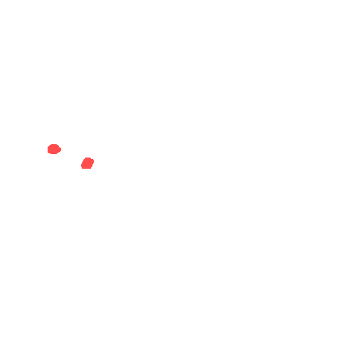 Sample annotation mask from CBIS-DDSM