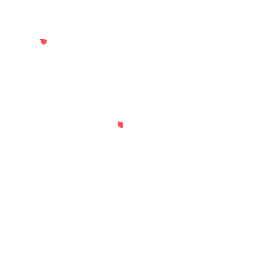 Sample annotation mask from CBIS-DDSM