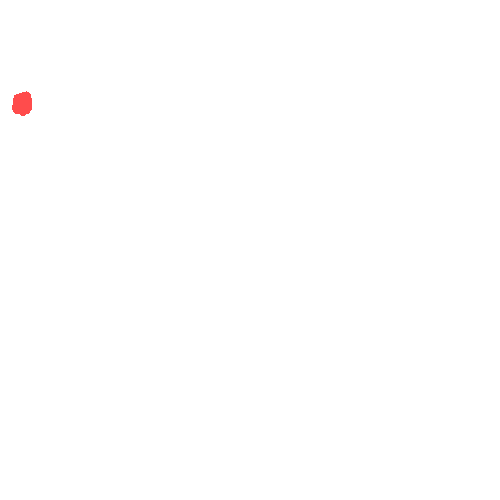 Sample annotation mask from CBIS-DDSM