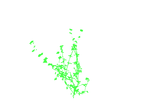 Sample annotation mask from CosegPP