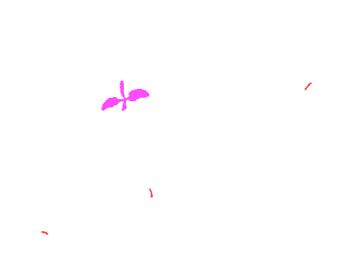 Sample annotation mask from Sugar Beets 2016