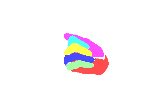 Sample annotation mask from RuCode Hand Segmentation 2021