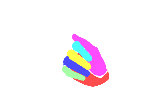 Sample annotation mask from RuCode Hand Segmentation 2021