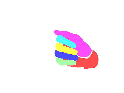 Sample annotation mask from RuCode Hand Segmentation 2021