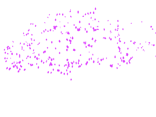 Sample annotation mask from MangoNet