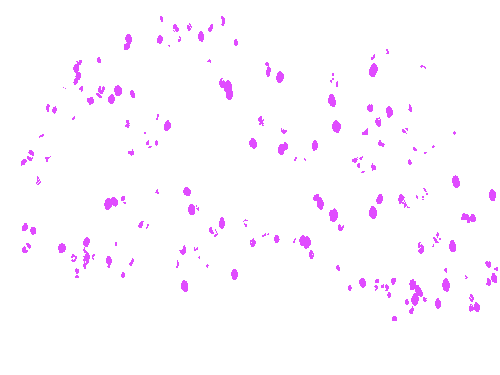 Sample annotation mask from MangoNet