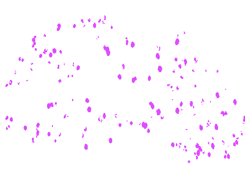 Sample annotation mask from MangoNet