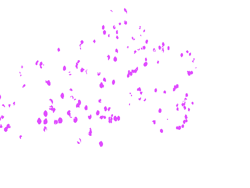 Sample annotation mask from MangoNet