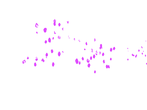 Sample annotation mask from MangoNet